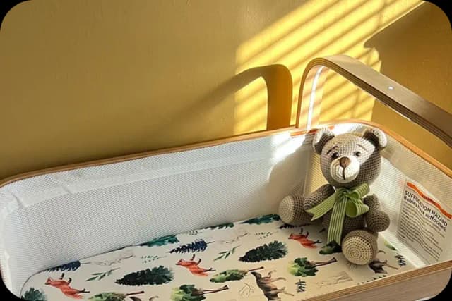 Wired review of the Cradlewise smart crib