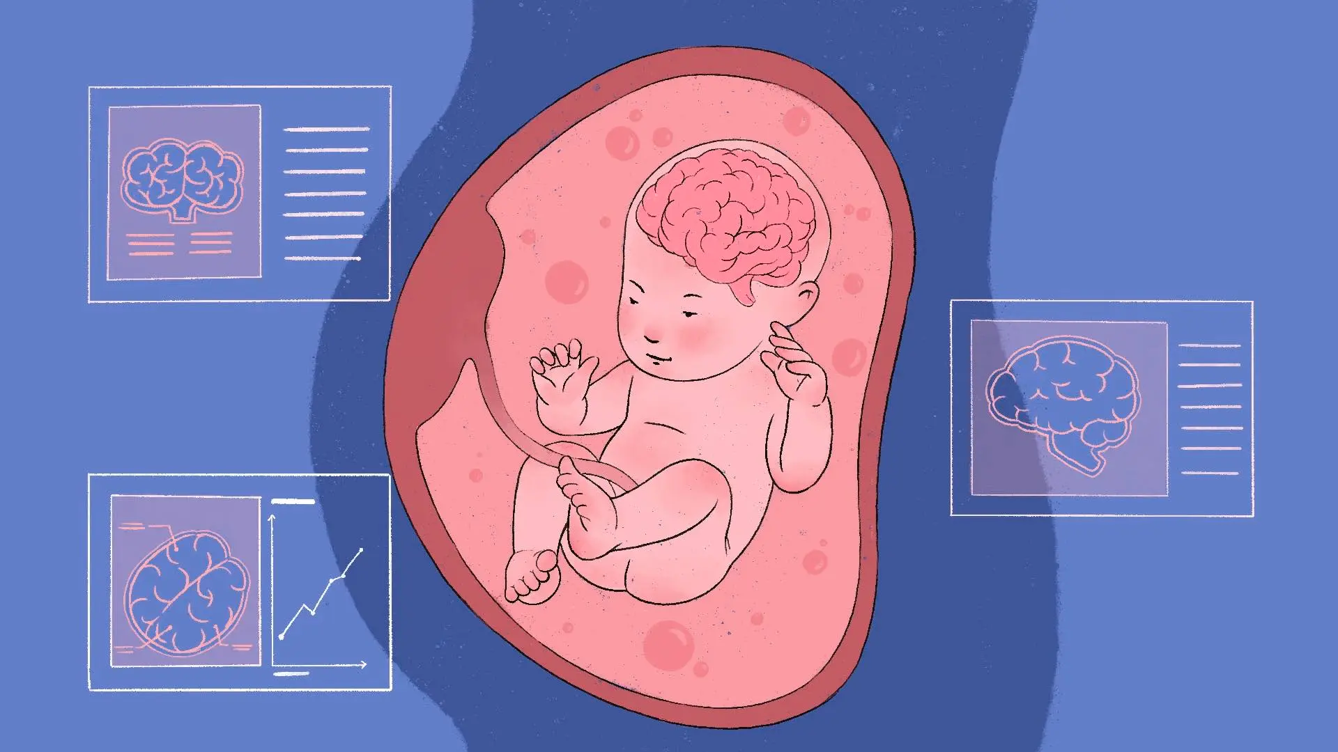 How your baby’s brain develops during pregnancy